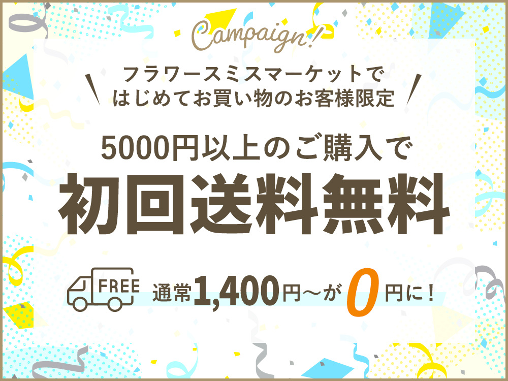 初回送料無料キャンペーン