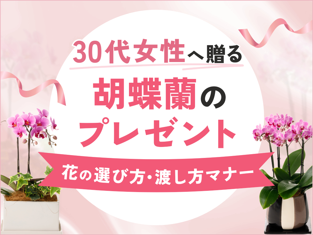 【30代女性に人気】プレゼントにぴったりの小さめ胡蝶蘭｜タイプ別の花の選び方・渡し方マナー