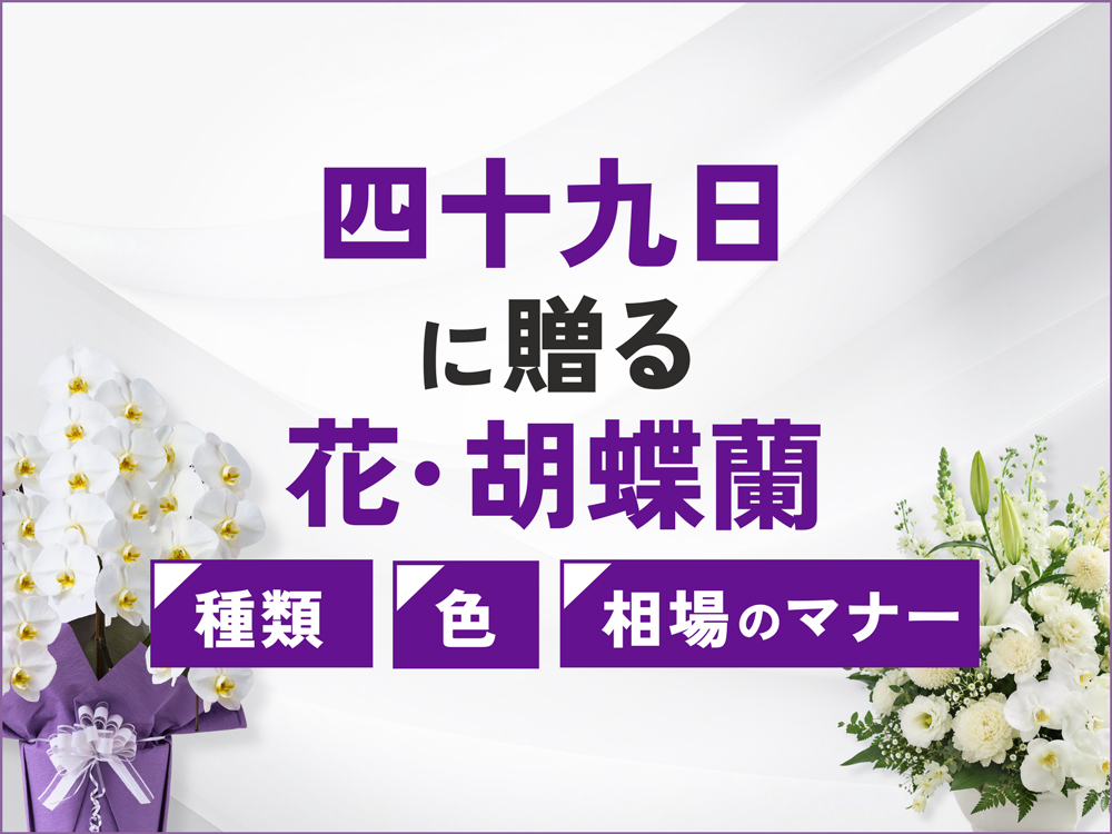 四十九日に贈る花の選び方｜色・相場のマナーと法要に最適な胡蝶蘭3選