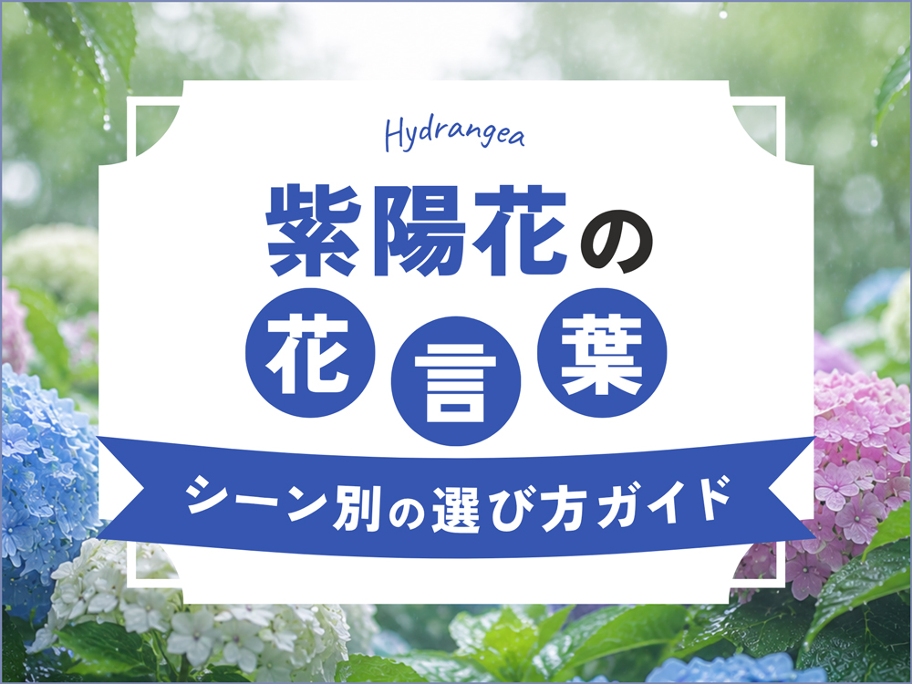 紫陽花の花言葉ガイド｜怖い意味の由来・シーン別の選び方まで徹底解説