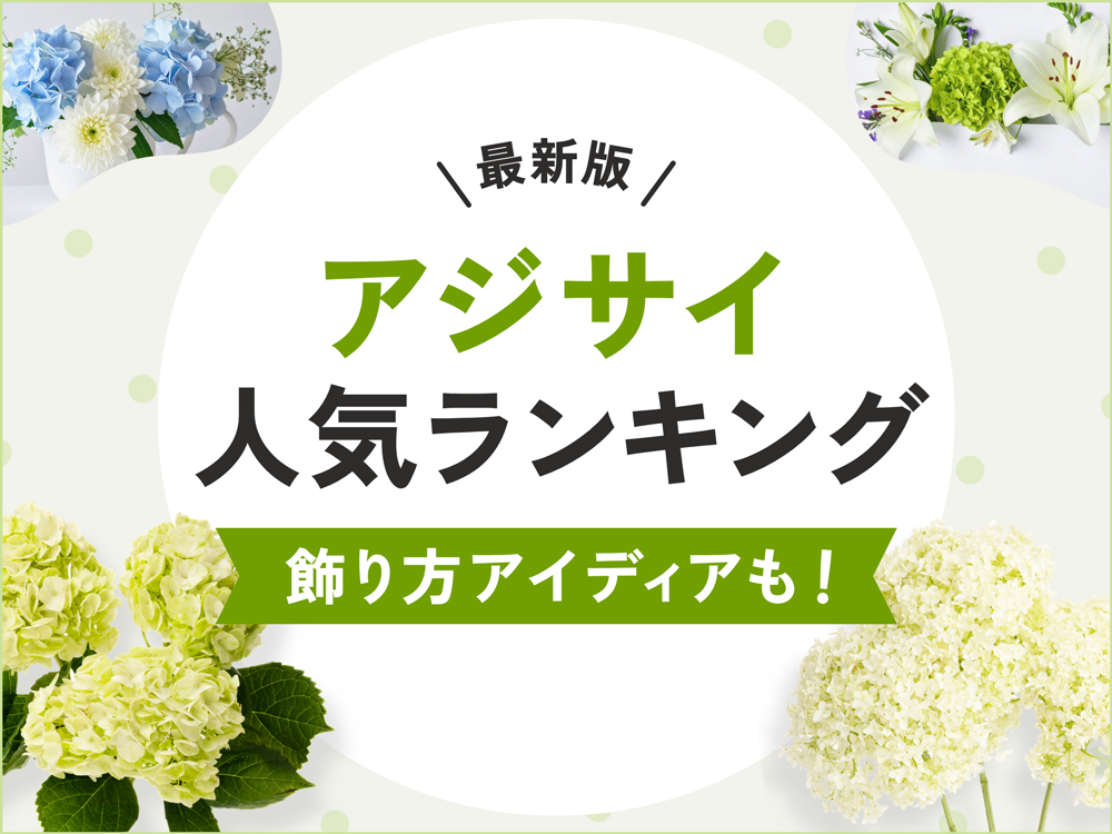 【最新】アジサイの人気品種ランキング4｜プロが選ぶおすすめ品種と飾り方アイディア