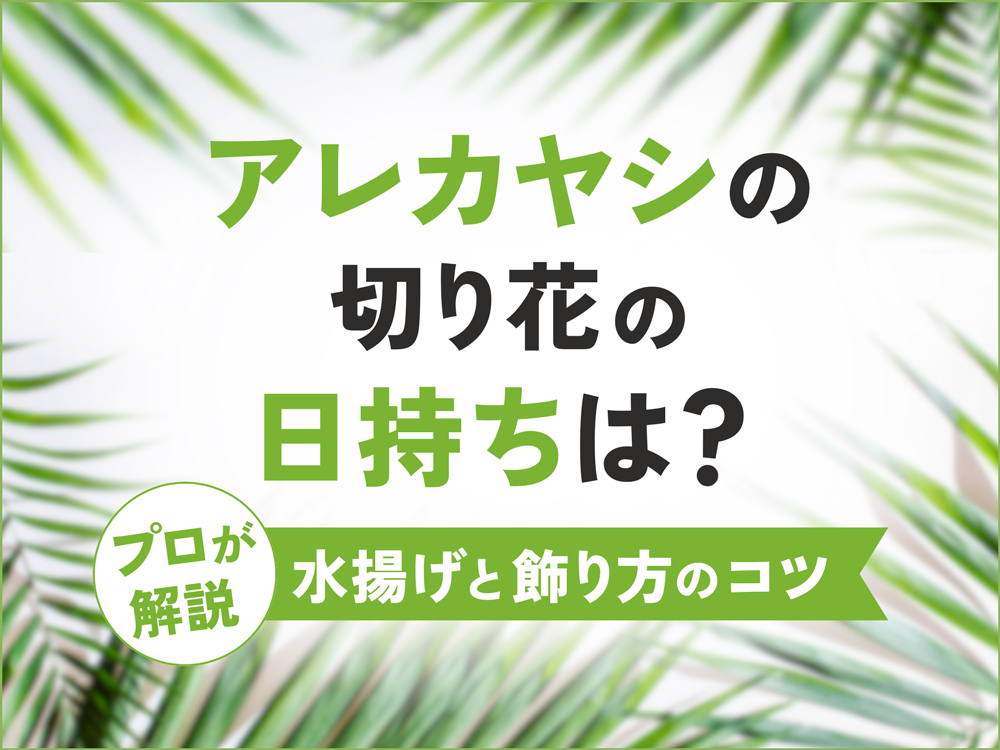 アレカヤシの切り花の日持ちは？長持ちさせる水揚げテクニックとおしゃれな飾り方