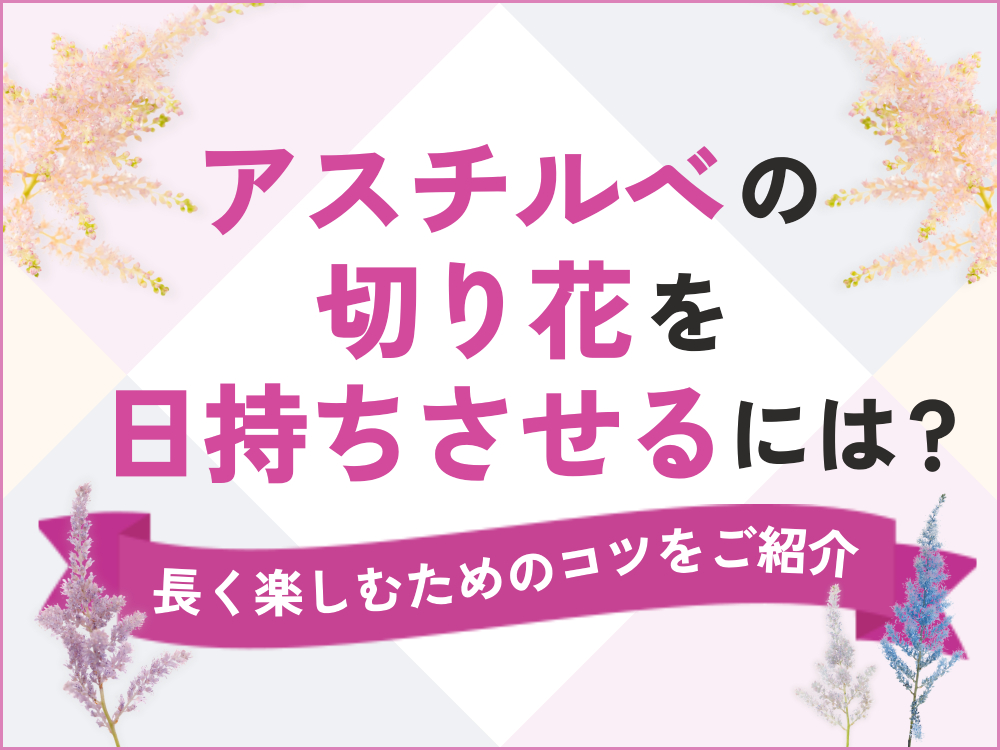 アスチルベの切り花を日持ちさせるには？長く楽しむためのコツをご紹介
