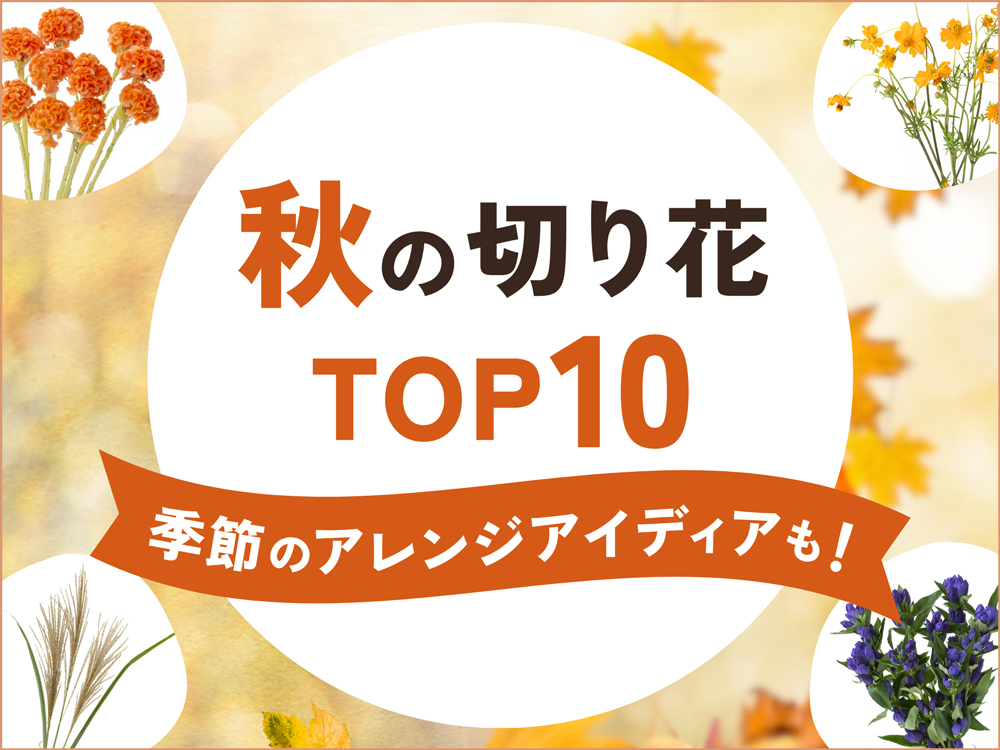 秋の切り花ランキングTOP10！おすすめ花材とアレンジアイディア