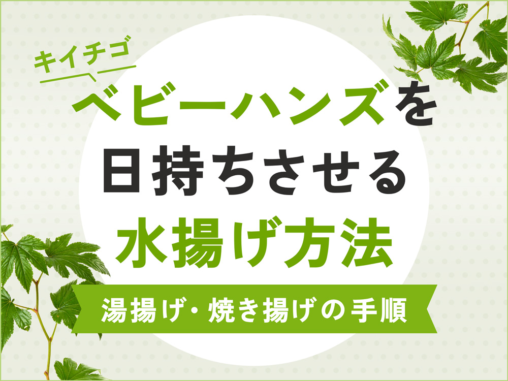 キイチゴ「ベビーハンズ」に最適な水揚げ方法は？日持ちさせるお手入れと飾り方のポイント