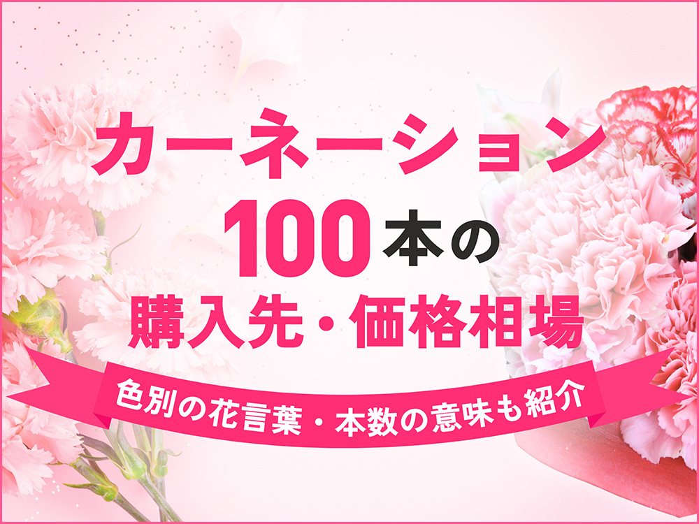 カーネーション100本の価格相場と購入先｜色別・本数別の花言葉も紹介
