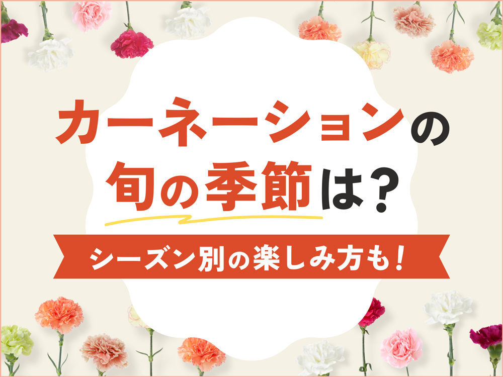 カーネーションの季節はいつ？切り花の旬・出回り時期とシーズン別の楽しみ方