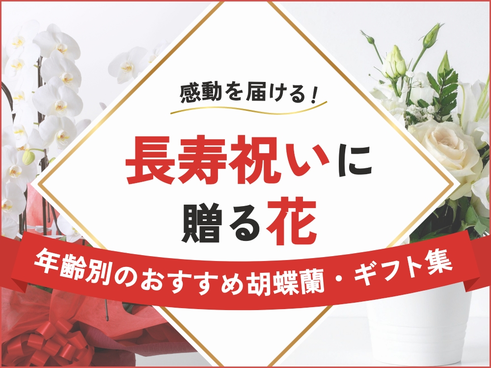 長寿祝いに花を贈るなら｜年齢別のおすすめ胡蝶蘭や予算・マナーを解説