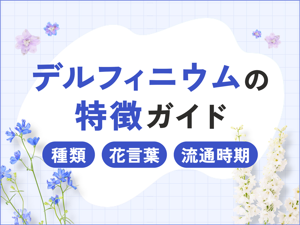 デルフィニウムの特徴まとめ｜種類・花言葉・流通時期を徹底解説！