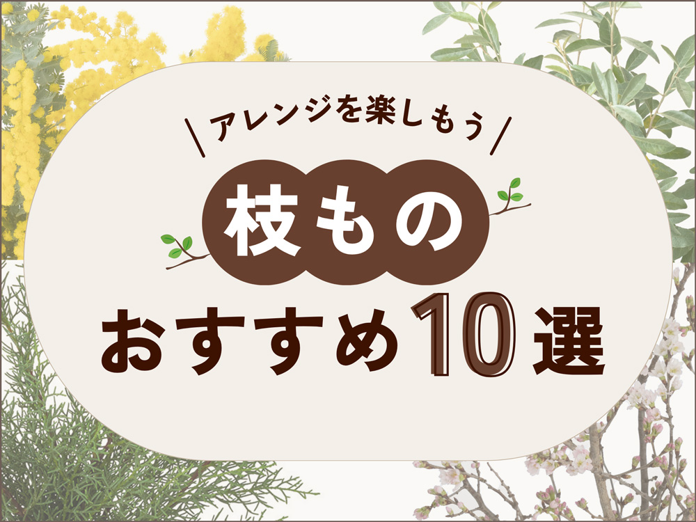 枝ものおすすめランキングTOP10！四季ごとに楽しむ人気花材とお手入れ方法