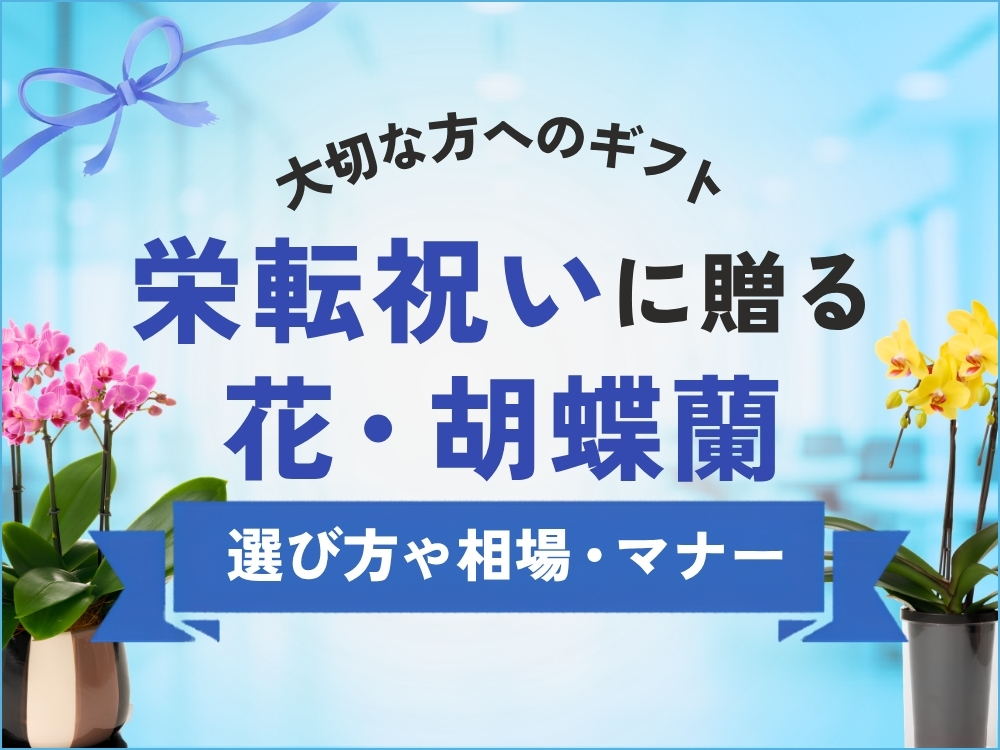 栄転祝いに贈る花の選び方｜定番の胡蝶蘭や相場・贈るマナーまで詳しく解説