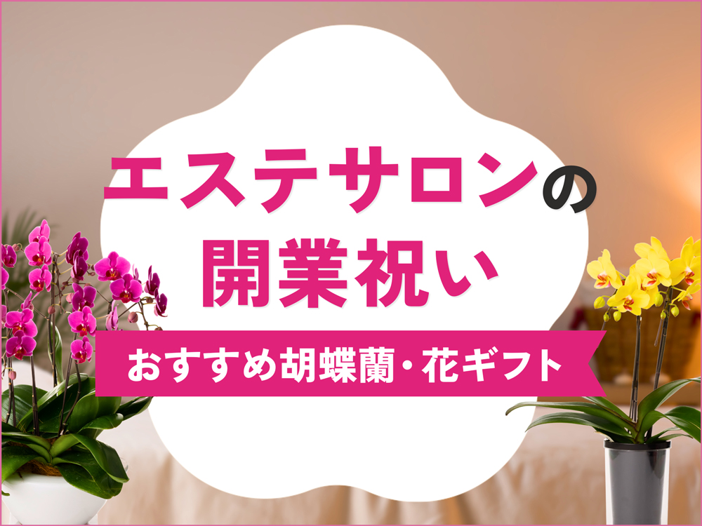 エステサロンの開業祝いガイド｜規模別の花ギフト・胡蝶蘭の選び方を徹底解説