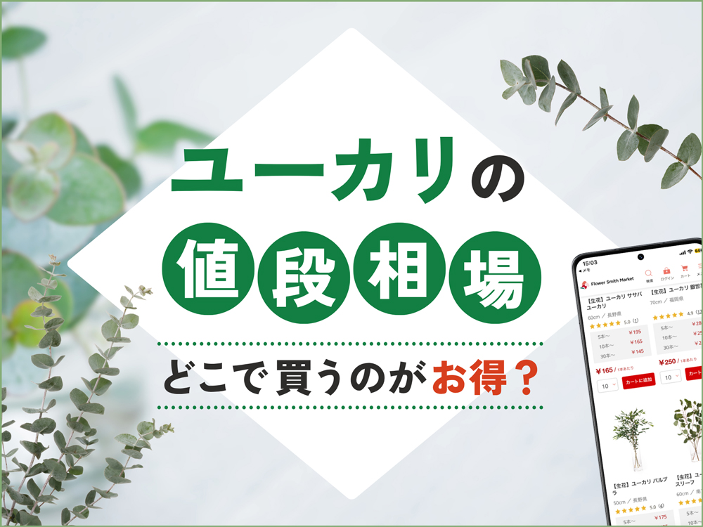 ユーカリの値段相場｜花屋・スーパー・通販、どこで買うのがお得？
