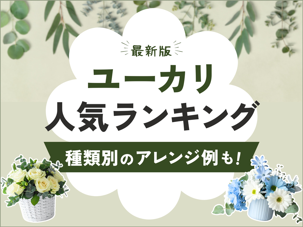【最新】ユーカリ人気品種ランキングTOP5｜種類別の飾り方も紹介