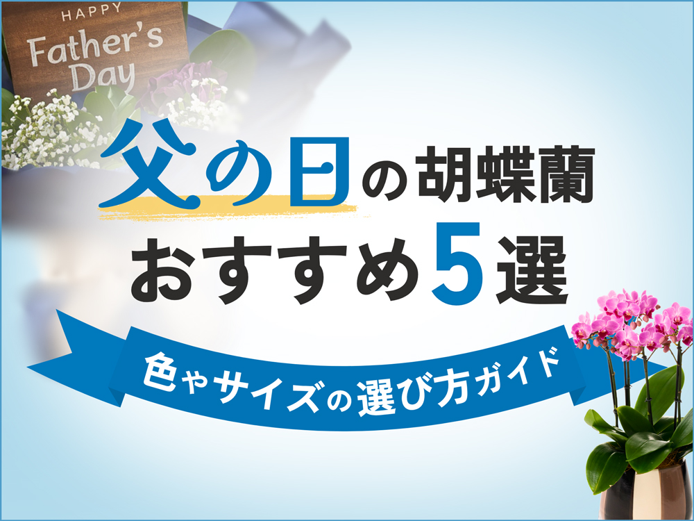 父の日に贈る胡蝶蘭ギフト5選｜選び方＆通販ショップを使う際の注意点も徹底解説