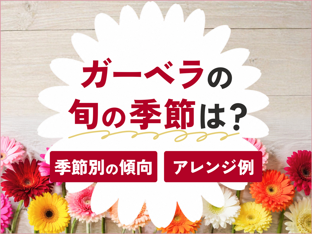 ガーベラは一年中買える！季節ごとの品質の違いとアレンジアイディア
