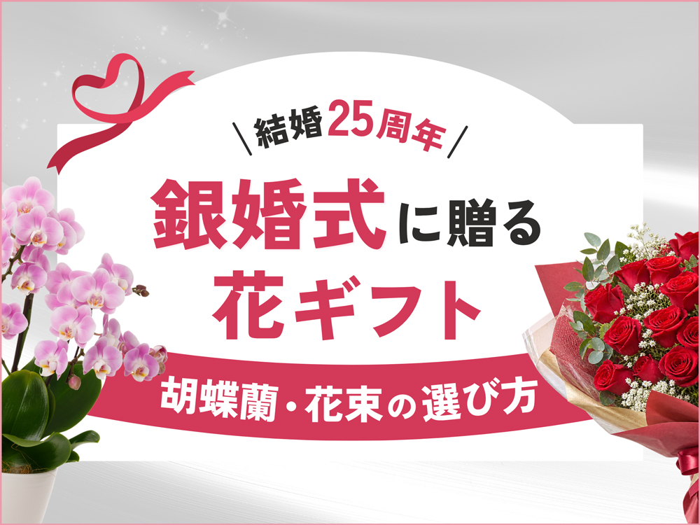 銀婚式（結婚25周年）に贈る！胡蝶蘭・花束の選び方とメッセージ例