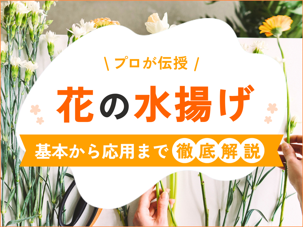 【プロが伝授】花の水揚げの仕方を徹底解説！長く楽しむための方法8選
