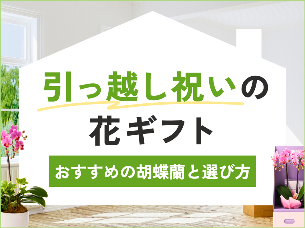 引っ越し祝いには胡蝶蘭が定番！住まいに合った花ギフト選びとマナーを解説