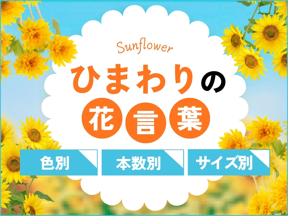 ひまわりの花言葉を完全解説｜色・本数・サイズ別の意味と選び方ガイド