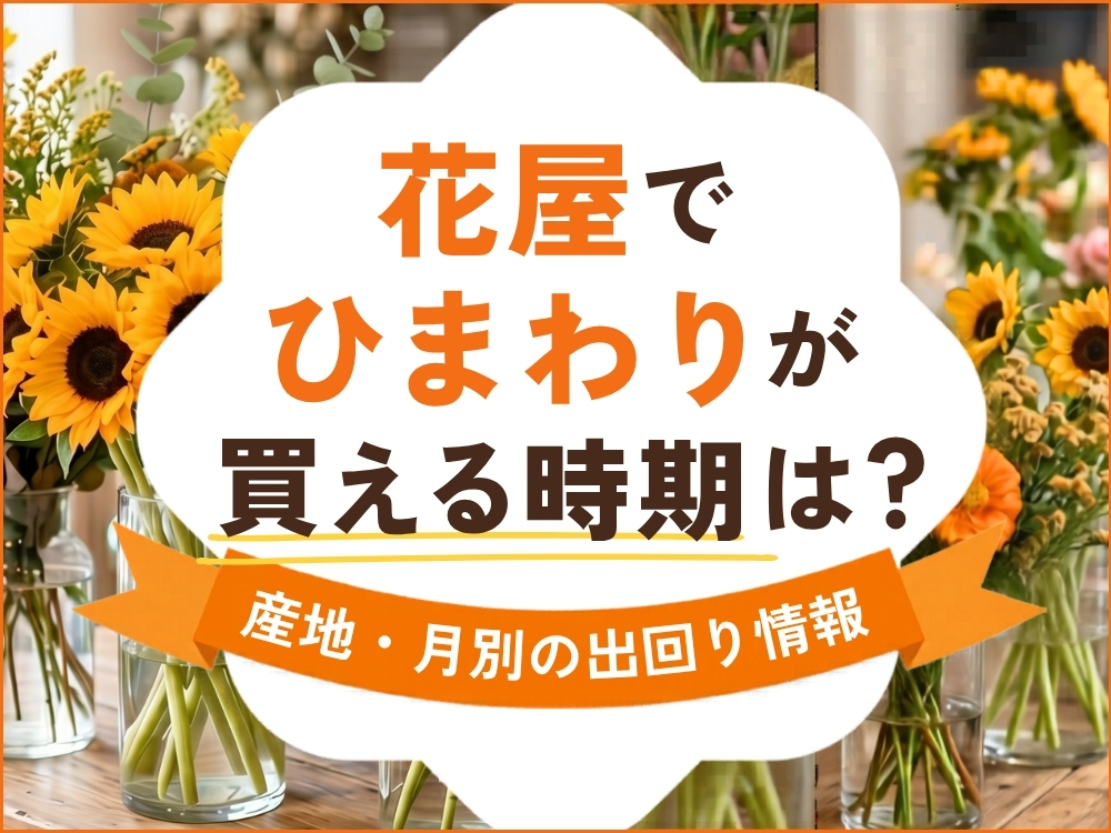 花屋でひまわりが買える時期はいつ？産地・季節別の出回り情報を徹底解説