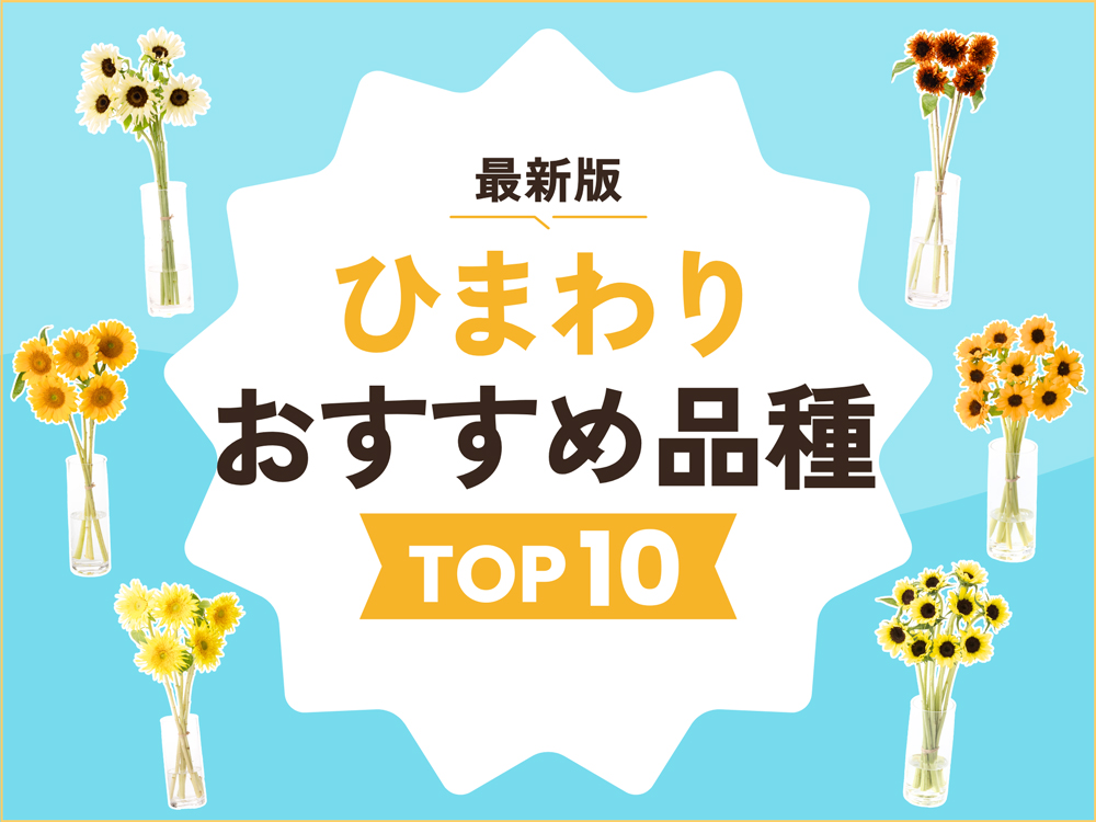 【最新版】ひまわりのおすすめ品種TOP10｜人気の種類を写真付きで紹介