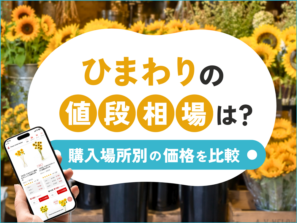 ひまわりの値段はどれくらい？購入場所別の相場とコスパ重視で仕入れるポイント