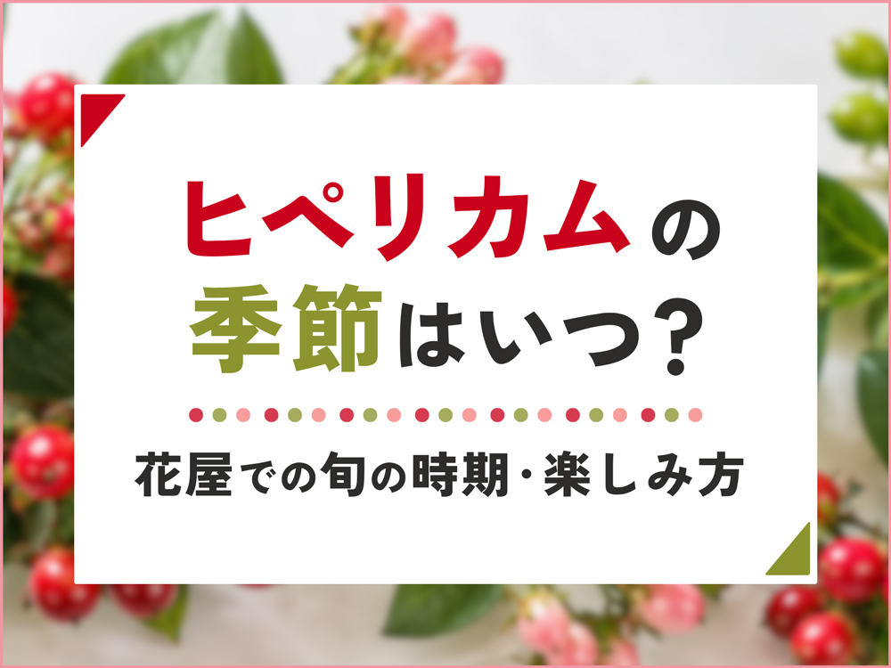 ヒペリカムの季節はいつ？花屋に出回る時期と旬の楽しみ方