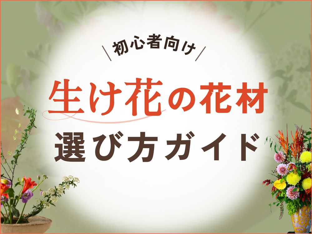 【初心者向け】生け花に使う花材の選び方ガイド｜季節の組み合わせと扱い方