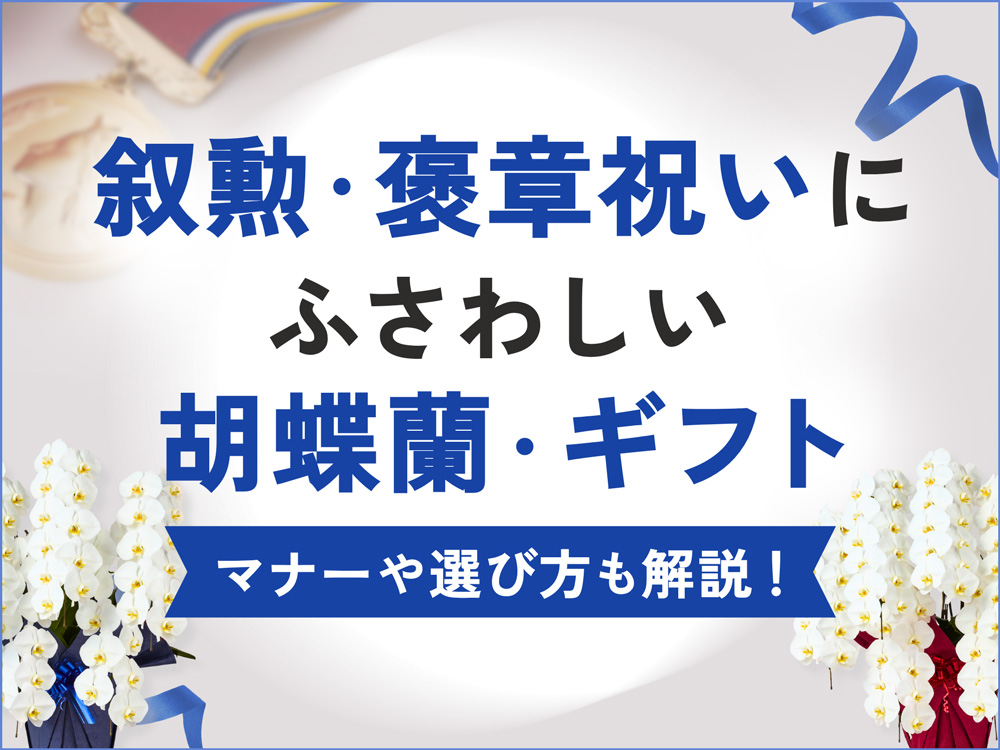 叙勲・褒章のお祝いを華やかに！贈り物にふさわしい胡蝶蘭とマナーを解説