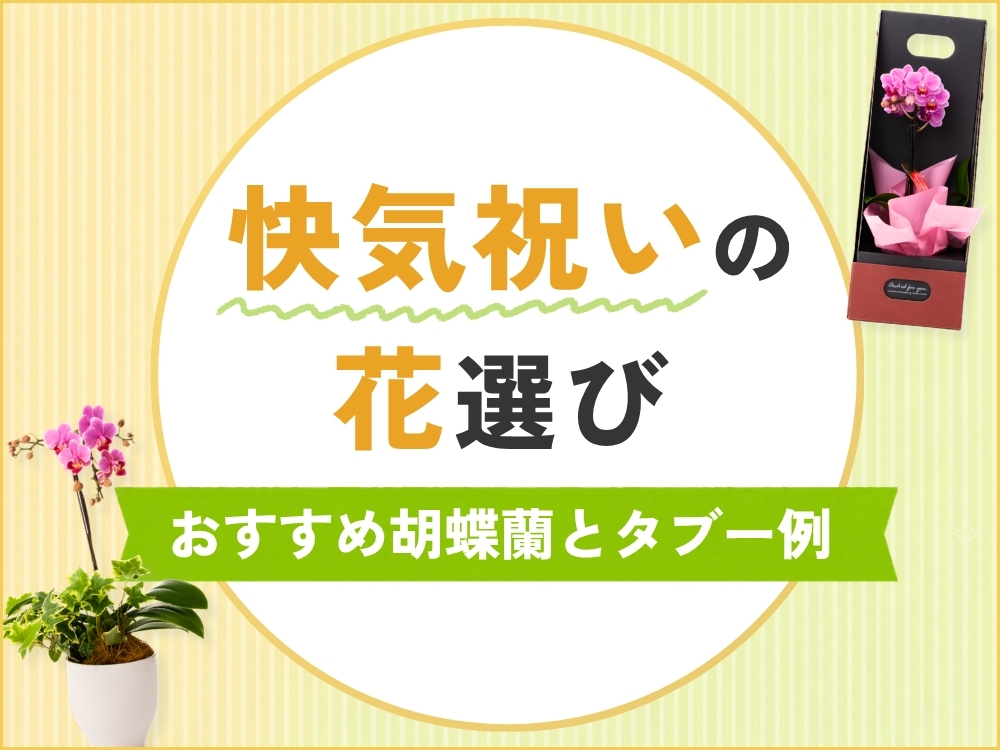 快気祝いの花に胡蝶蘭を選んでも大丈夫？金額相場と贈るタイミング・タブー例も紹介