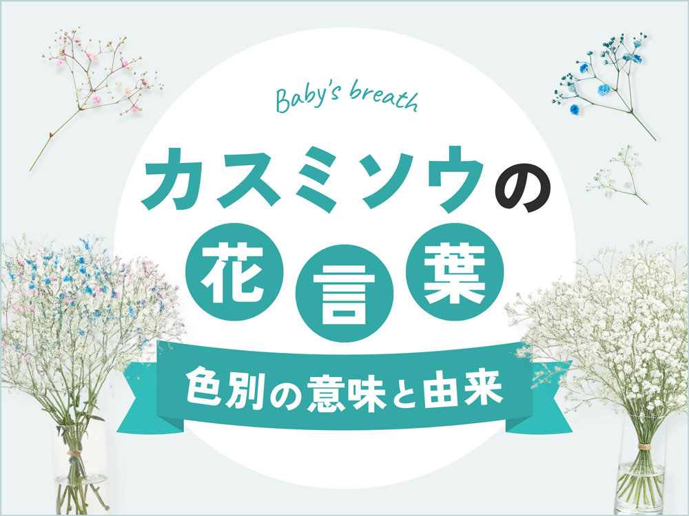 カスミソウの花言葉｜色別の意味・由来や怖い花言葉の有無も解説