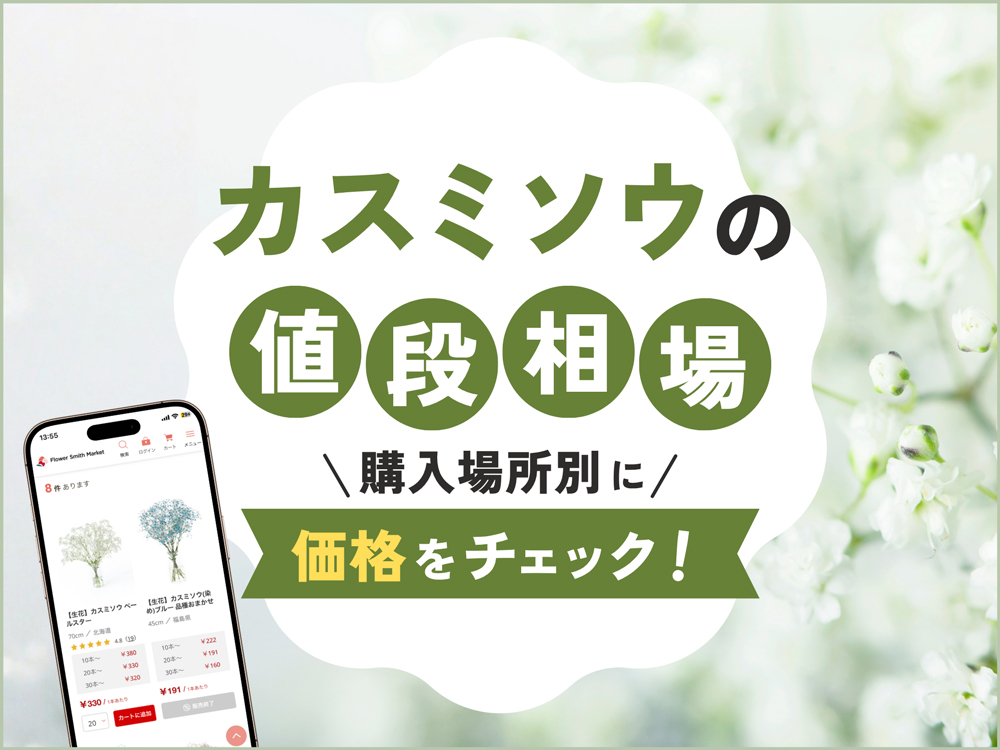 【最新】カスミソウの値段相場｜購入場所別の価格を比較