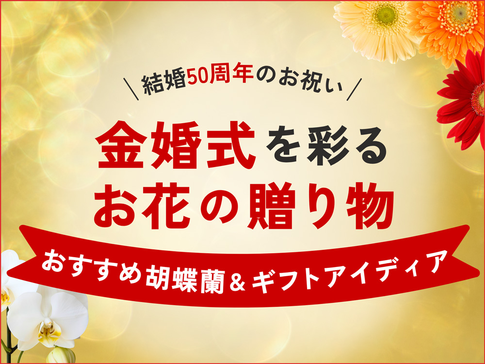 金婚式のお祝いに胡蝶蘭を！結婚50周年を彩る花ギフトガイド