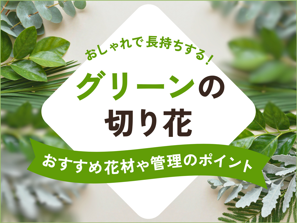 おしゃれで長持ちするグリーンの切り花｜おすすめ花材や管理のポイント