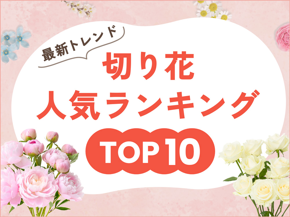 【最新版】切り花人気ランキングTOP10！季節別のおすすめ花材も紹介