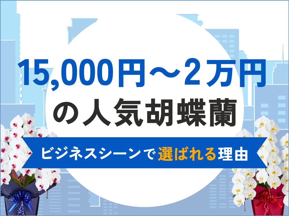予算15,000円～2万円で胡蝶蘭をお探しの方へ｜人気TOP5とビジネスシーンでの選び方