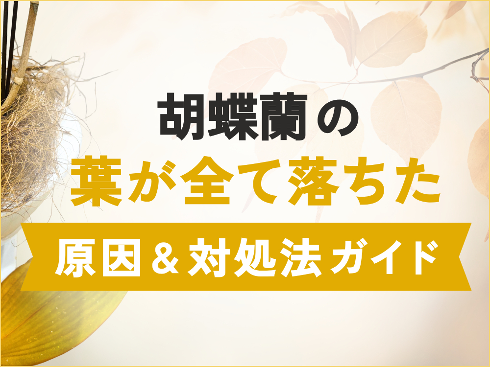 胡蝶蘭の葉が全て落ちた原因とは？効果的な対処法を徹底解説！