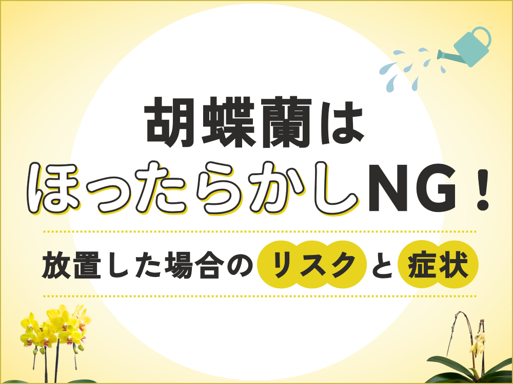 胡蝶蘭はほったらかしにすると枯れる？放置リスクと手軽に育てる方法を解説