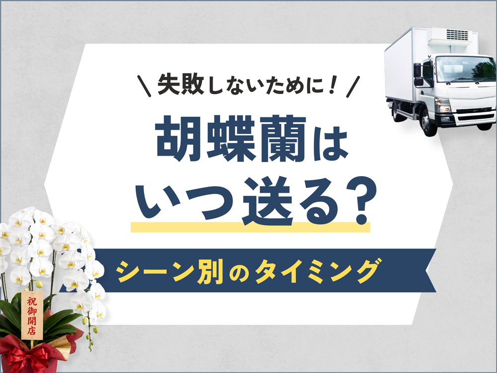 胡蝶蘭はいつ送るのが正解？シーン別のベストタイミングを徹底解説！