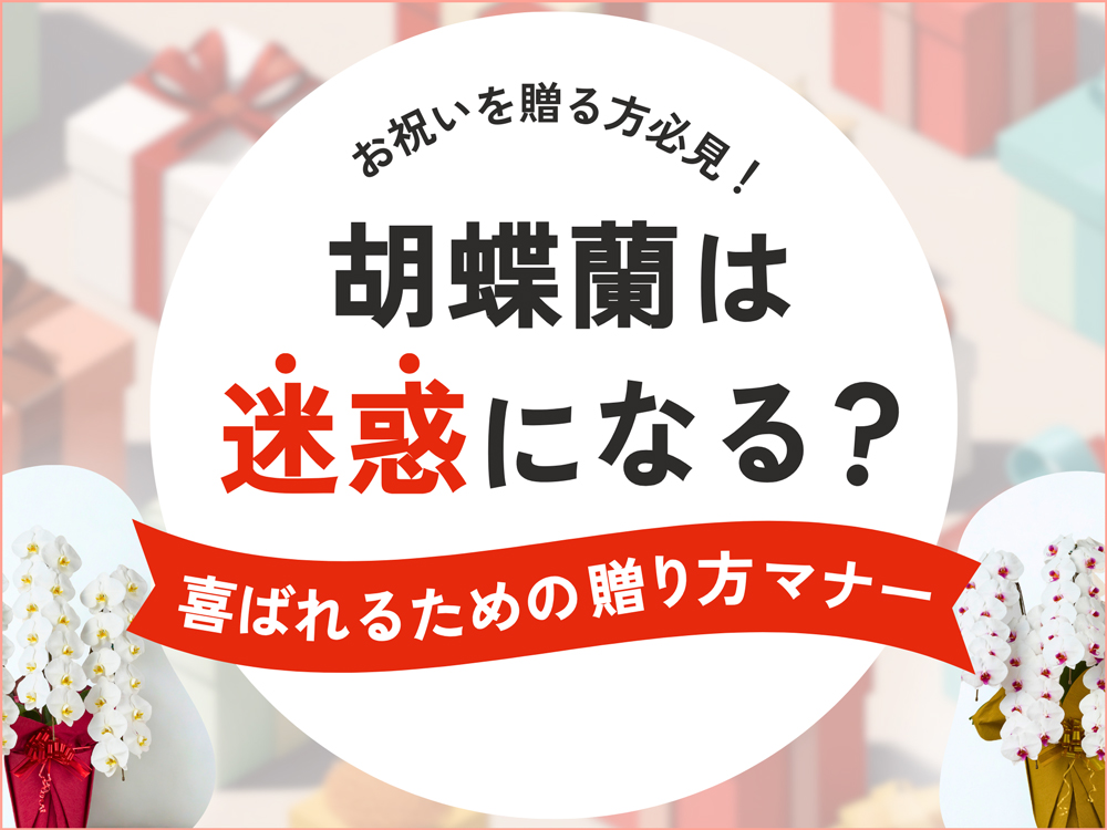 胡蝶蘭は迷惑？もらった人の本音・口コミと贈る際のマナーを解説