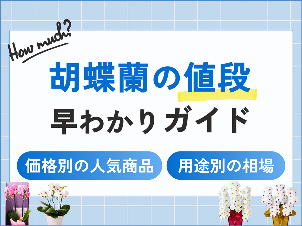 胡蝶蘭の値段相場早わかりガイド｜価格帯別・用途別の人気商品も紹介！