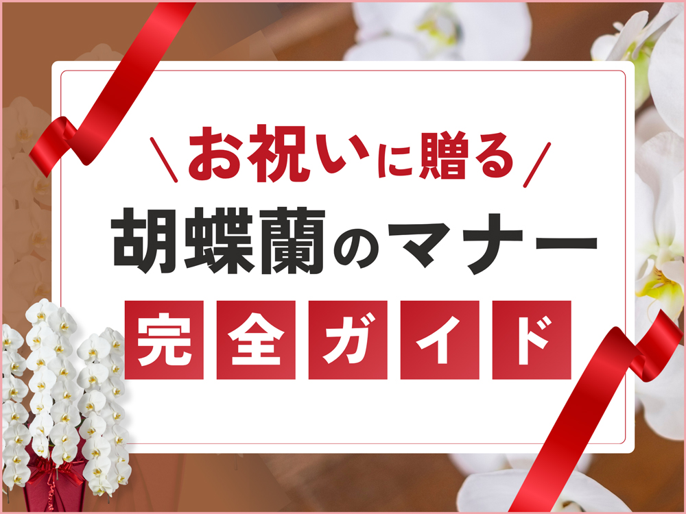 お祝いに贈る胡蝶蘭のマナー完全ガイド！シーンや関係性に合わせた選び方