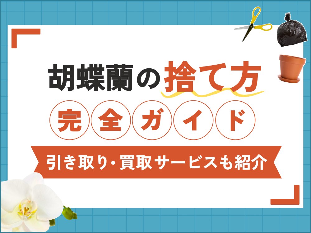 胡蝶蘭の捨て方ガイド！処分方法から引き取り・買取サービスまで徹底解説