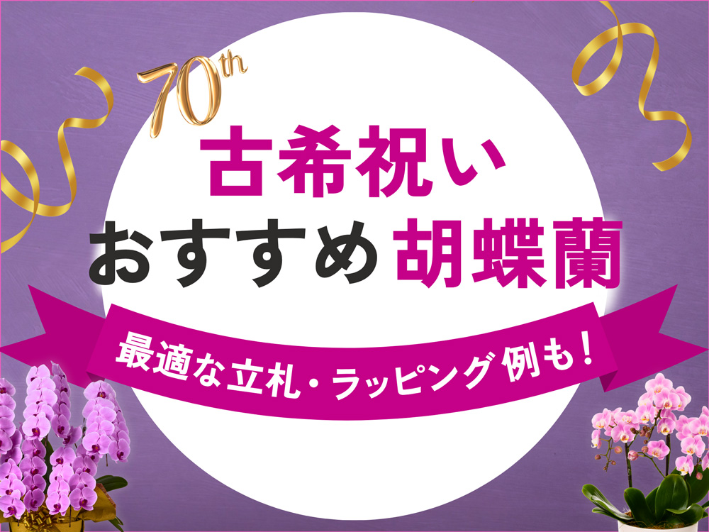 古希祝いにおすすめの胡蝶蘭6選｜価格相場やふさわしいラッピング選びも解説！