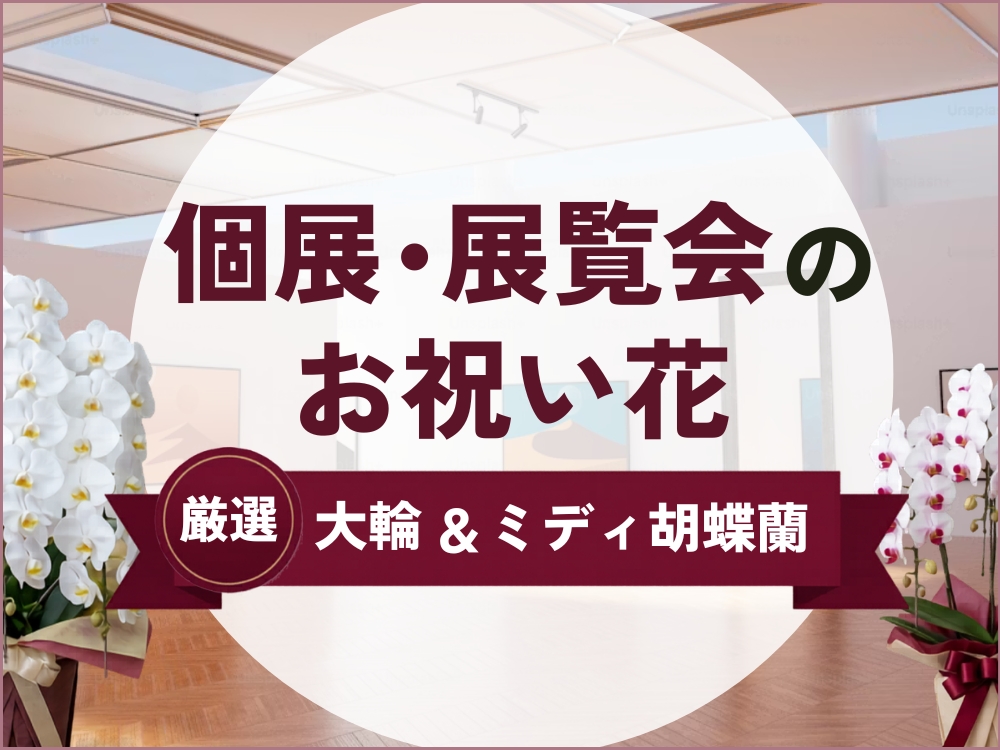 個展・展覧会のお祝い花｜選び方や定番人気の大輪・ミディ胡蝶蘭を紹介