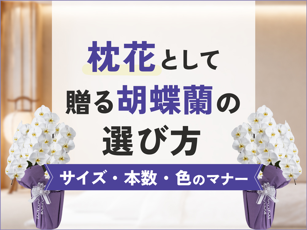枕花として贈る胡蝶蘭｜サイズ・本数・色の選び方と手配のマナー