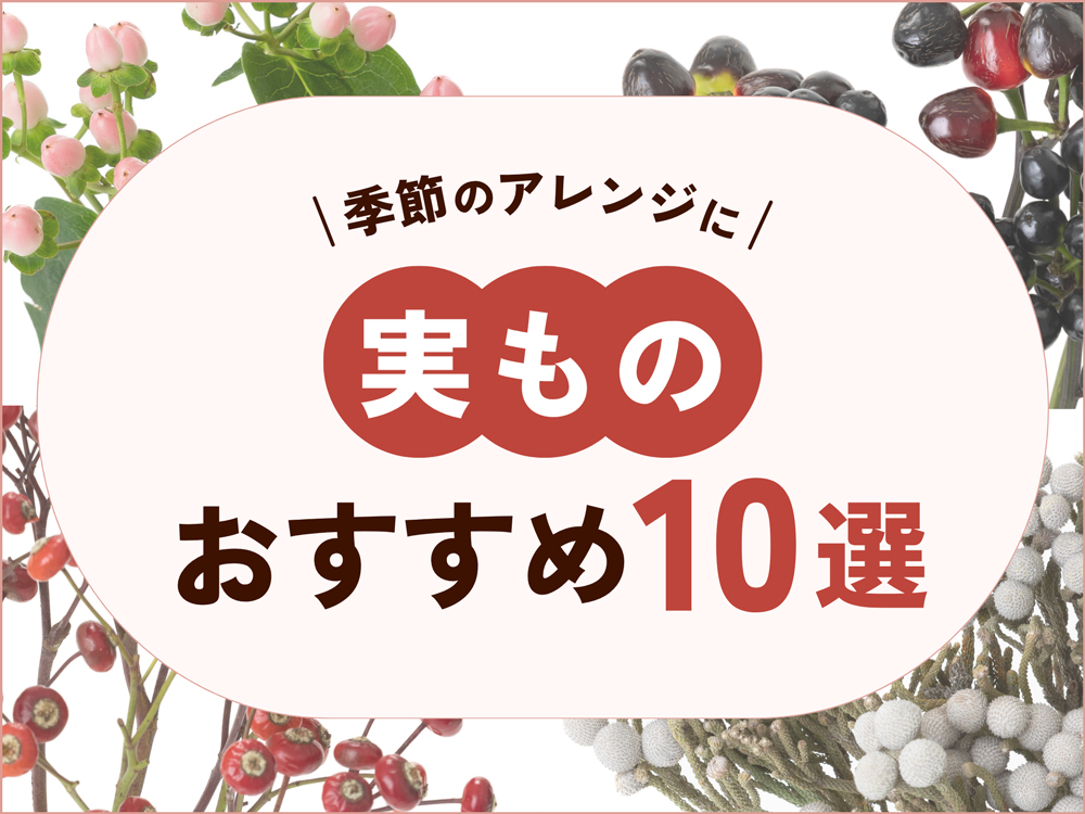実もの（実のなる花）おすすめ10選｜季節・用途別の人気アイテムも紹介