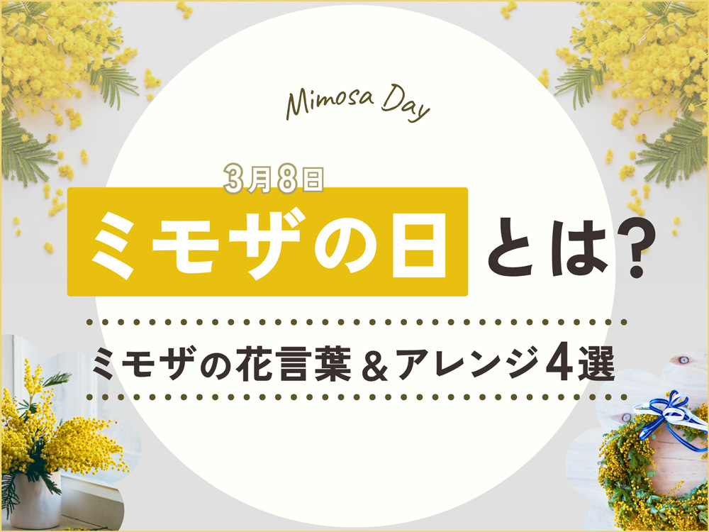 ミモザの日とは？3月8日の国際女性デーに贈る！ミモザの花言葉とアレンジ4選