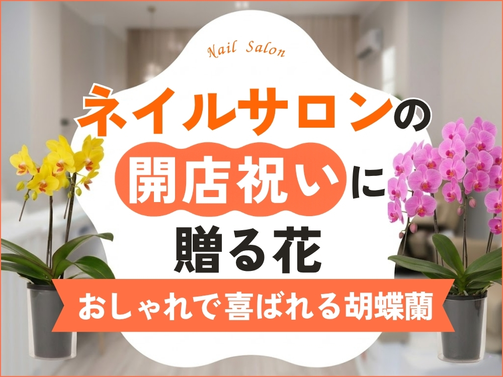 ネイルサロンの開店祝いに贈る花｜おしゃれで喜ばれる胡蝶蘭・相場やマナーを徹底解説